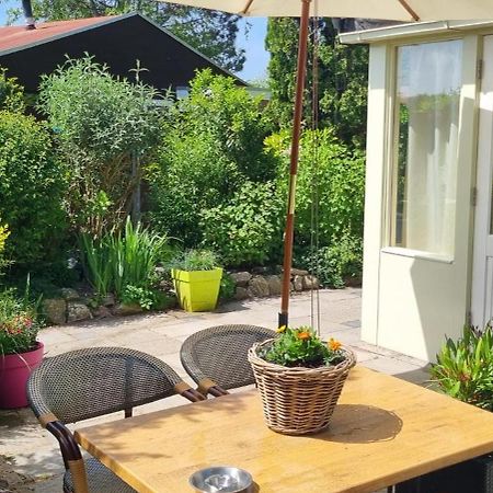 فيلا Zonnig Zuid Dirkshorn المظهر الخارجي الصورة