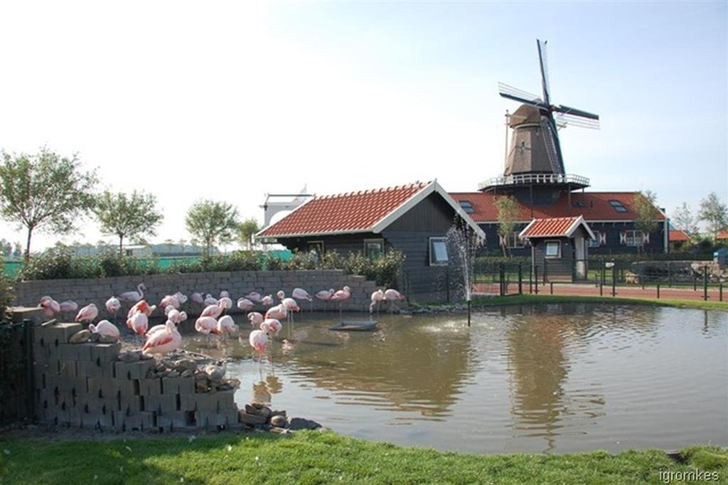 فيلا Zonnig Zuid Dirkshorn الغرفة الصورة