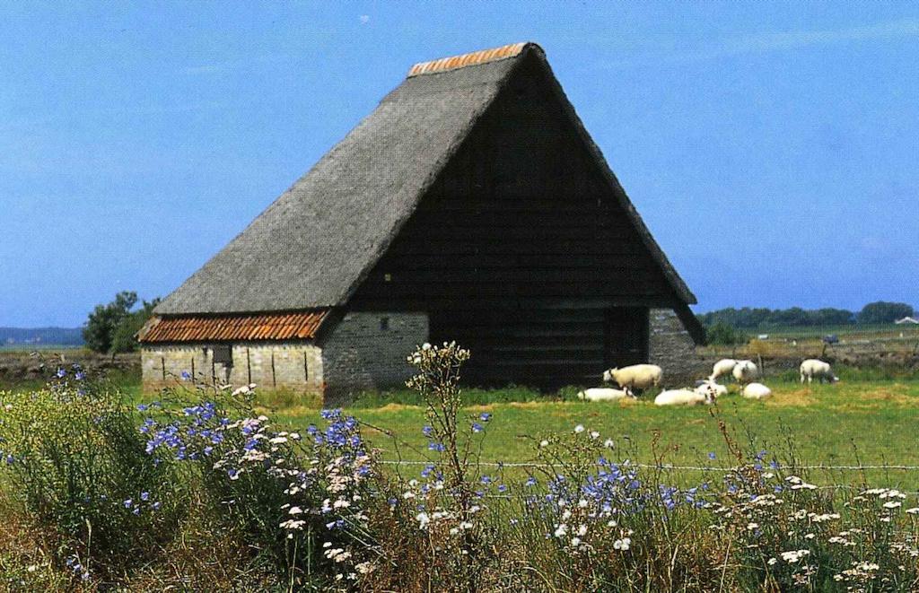فيلا Zonnig Zuid Dirkshorn الغرفة الصورة